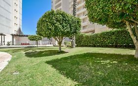 Homeincalpe Apolo XVI 2-15-68